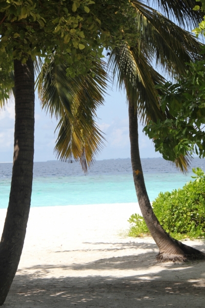 Medhupparu в сентябре 2014