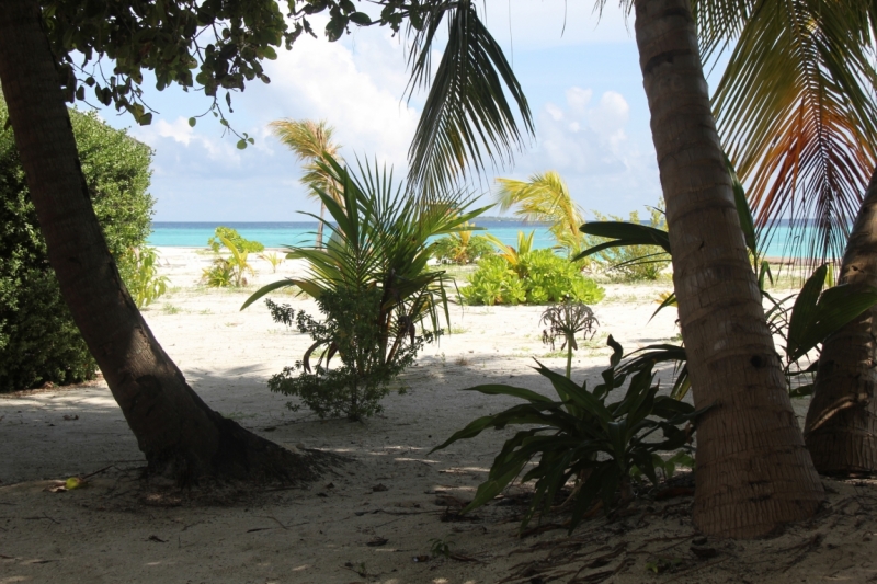 Medhupparu в сентябре 2014