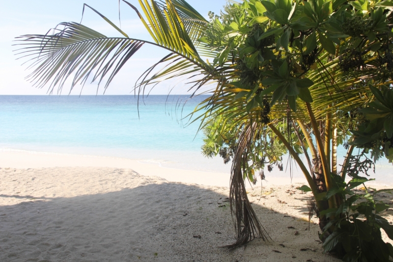 Medhupparu в сентябре 2014