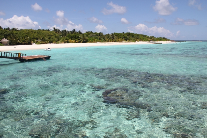 Medhupparu в сентябре 2014