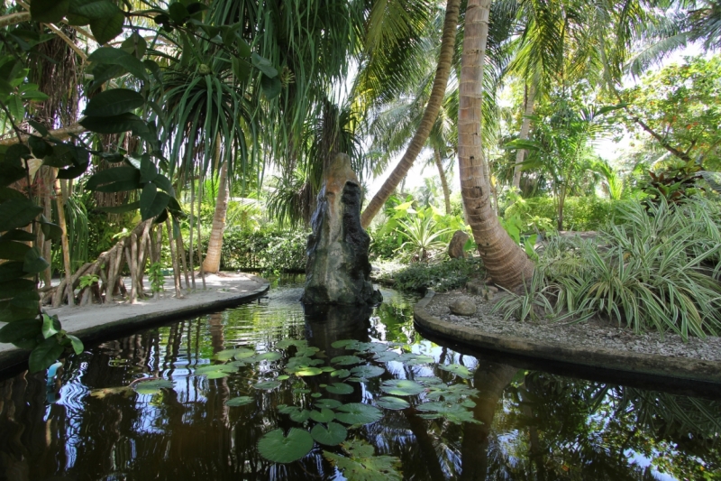 Medhupparu в сентябре 2014