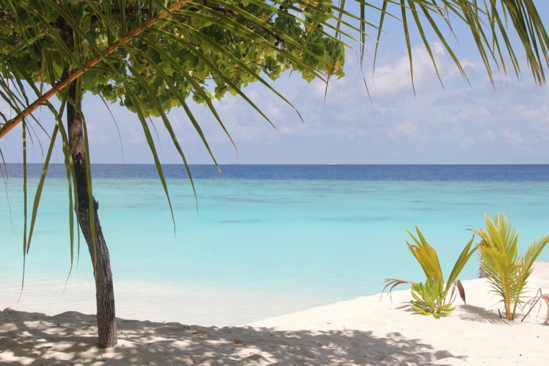 Medhupparu в сентябре 2014