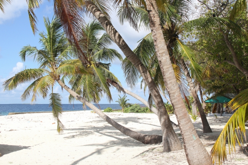 Medhupparu в сентябре 2014