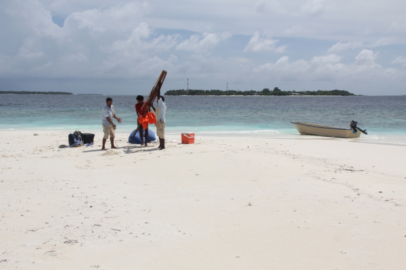 Medhupparu в сентябре 2014