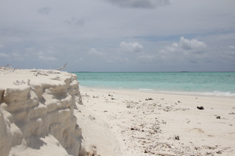 Medhupparu в сентябре 2014