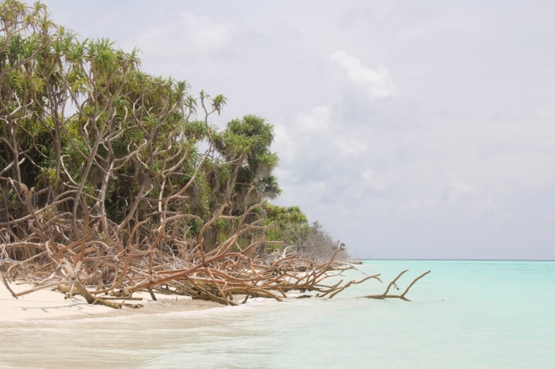Medhupparu в сентябре 2014