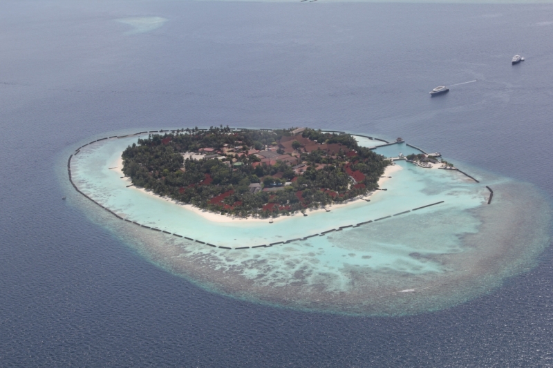 Medhupparu в сентябре 2014