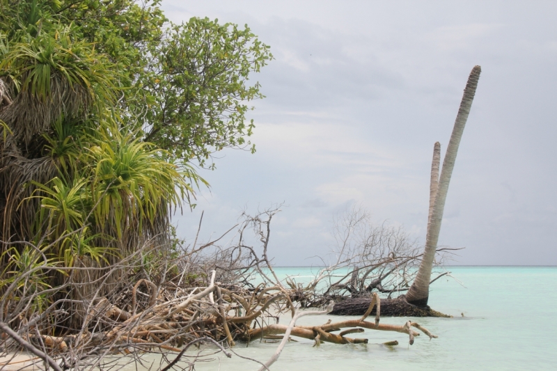 Medhupparu в сентябре 2014