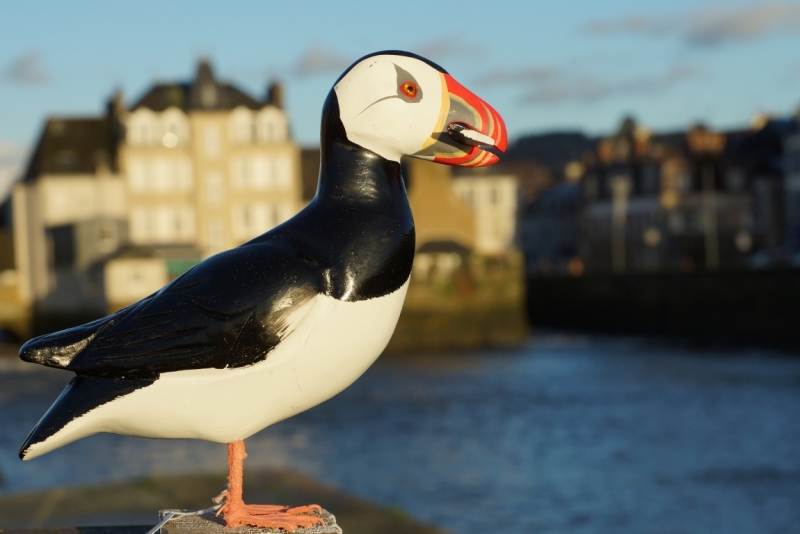 Бретань без авто (январь 2014)