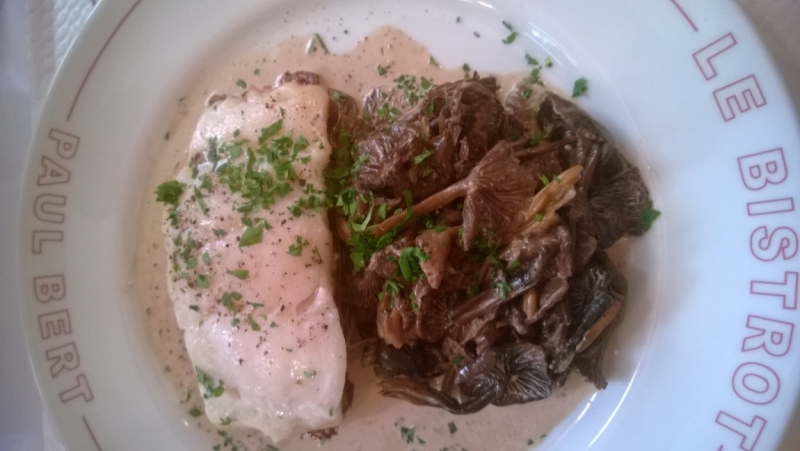 Бретань без авто (январь 2014)