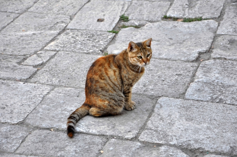 Weekend in Istanbul или спонтанное путешествие в древний город(много фото).