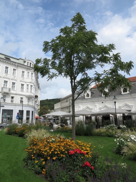 Мечты сбываются или Вена в августе 2014 г.