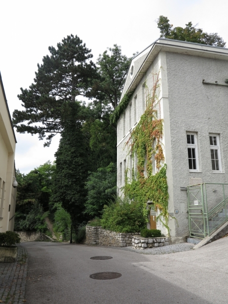 Мечты сбываются или Вена в августе 2014 г.