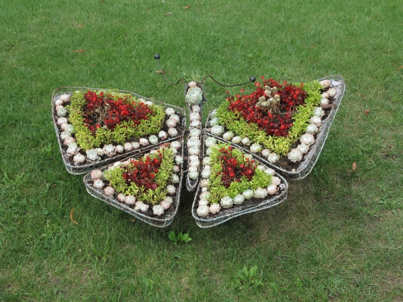 Мечты сбываются или Вена в августе 2014 г.