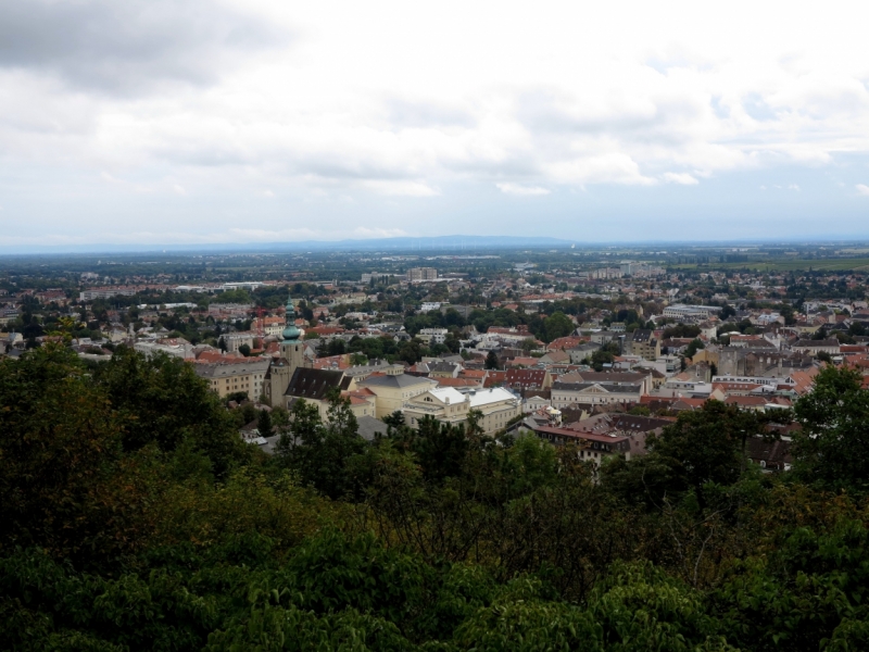 Мечты сбываются или Вена в августе 2014 г.