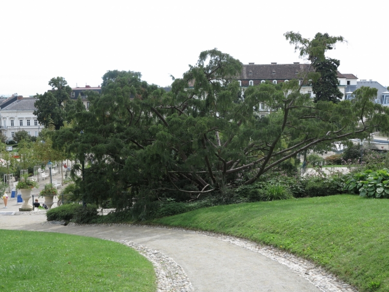 Мечты сбываются или Вена в августе 2014 г.