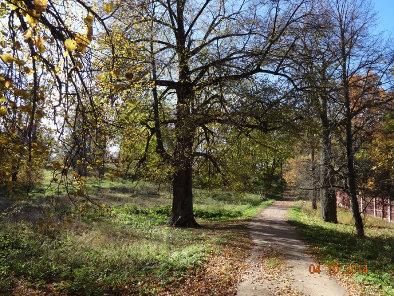 Осенними стежками – дорожками по Торжку и окрестностям (октябрь 2014)