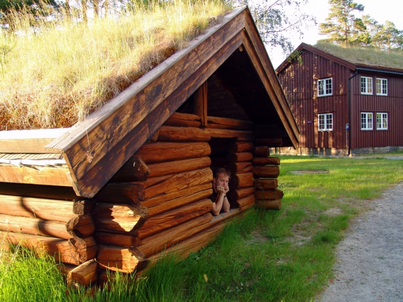 Автопробегом из Воронежа по СТРАНЕ ТРОЛЛЕЙ (через Москву,Новгород, Хельсинки, Стокгольм)