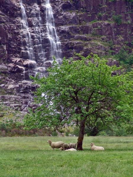 Автопробегом из Воронежа по СТРАНЕ ТРОЛЛЕЙ (через Москву,Новгород, Хельсинки, Стокгольм)