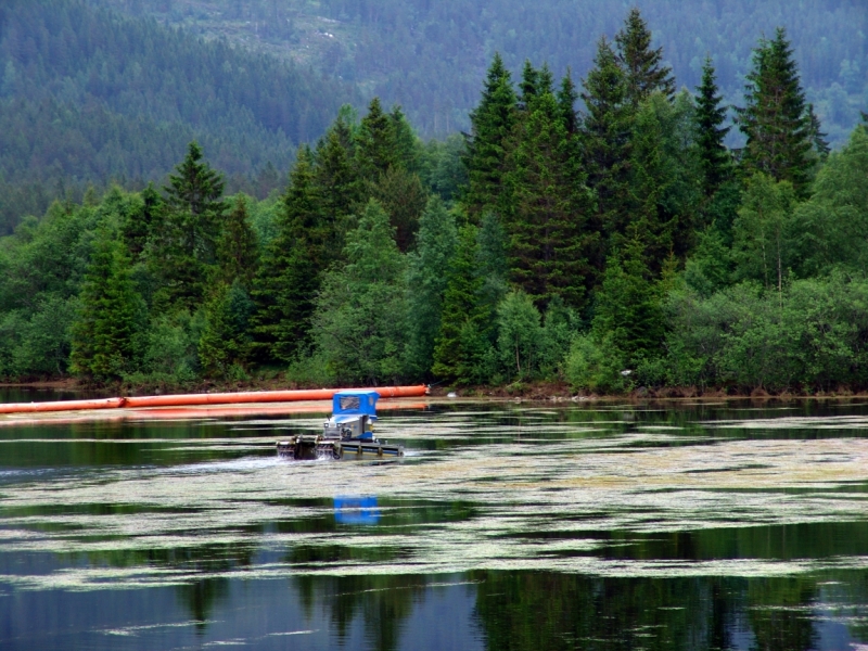 Автопробегом из Воронежа по СТРАНЕ ТРОЛЛЕЙ (через Москву,Новгород, Хельсинки, Стокгольм)