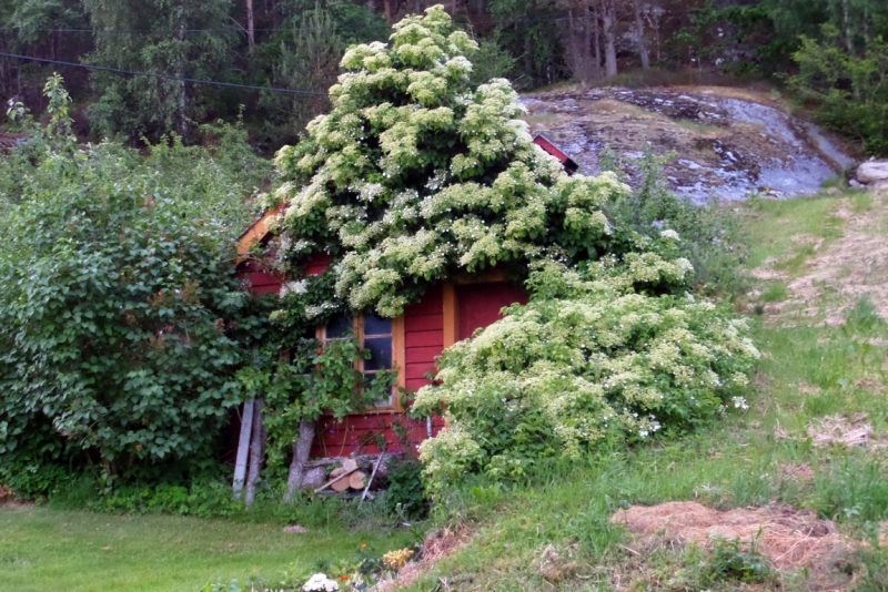 Автопробегом из Воронежа по СТРАНЕ ТРОЛЛЕЙ (через Москву,Новгород, Хельсинки, Стокгольм)