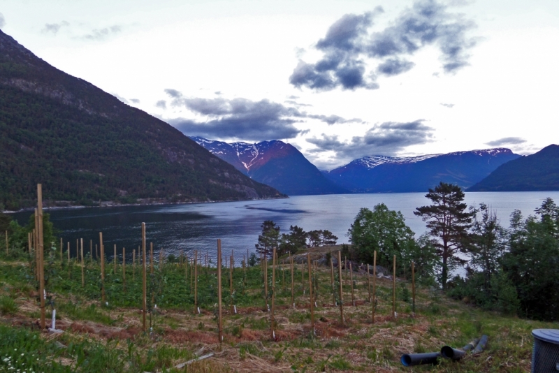 Автопробегом из Воронежа по СТРАНЕ ТРОЛЛЕЙ (через Москву,Новгород, Хельсинки, Стокгольм)