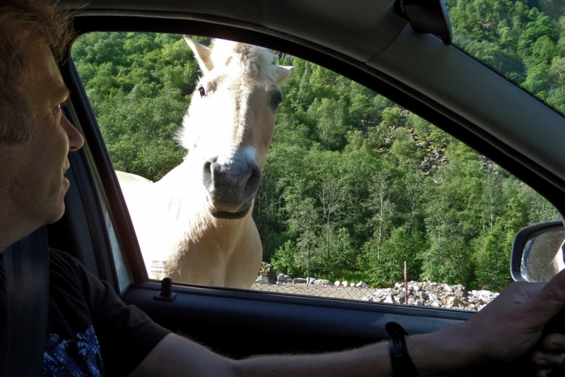 Автопробегом из Воронежа по СТРАНЕ ТРОЛЛЕЙ (через Москву,Новгород, Хельсинки, Стокгольм)