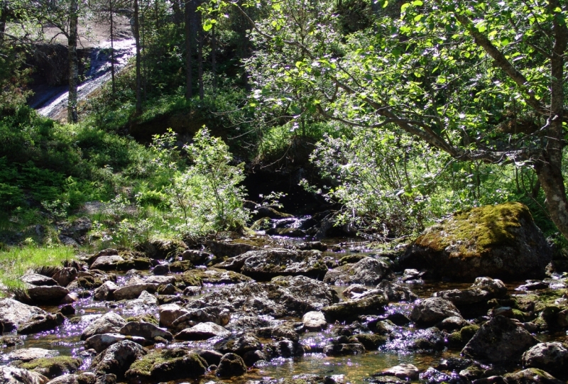 Автопробегом из Воронежа по СТРАНЕ ТРОЛЛЕЙ (через Москву,Новгород, Хельсинки, Стокгольм)