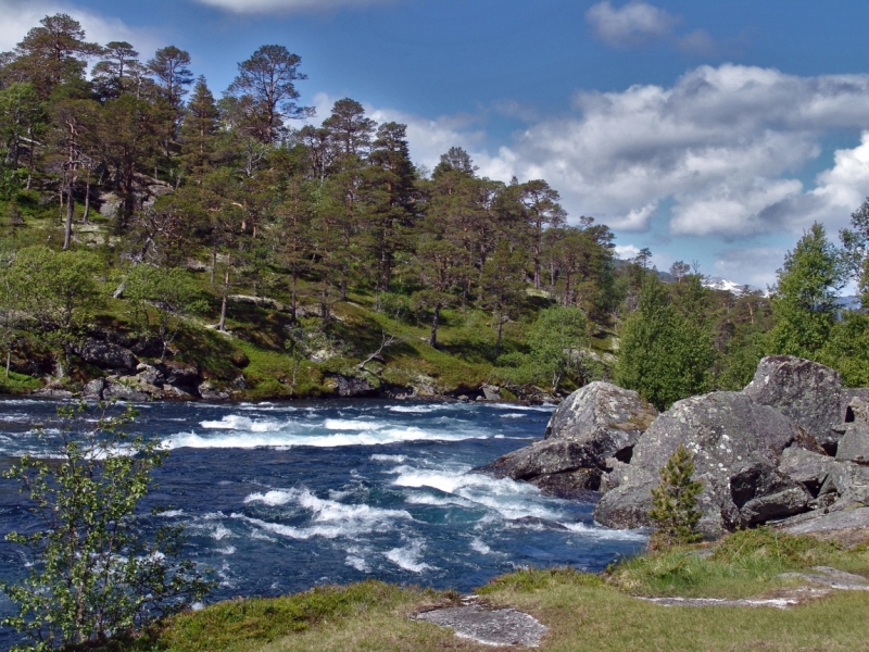 Автопробегом из Воронежа по СТРАНЕ ТРОЛЛЕЙ (через Москву,Новгород, Хельсинки, Стокгольм)