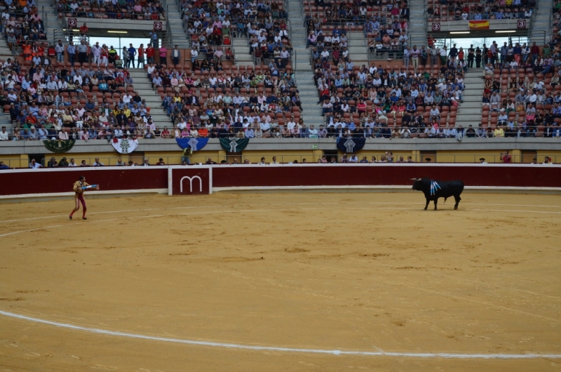 Коррида в Испании