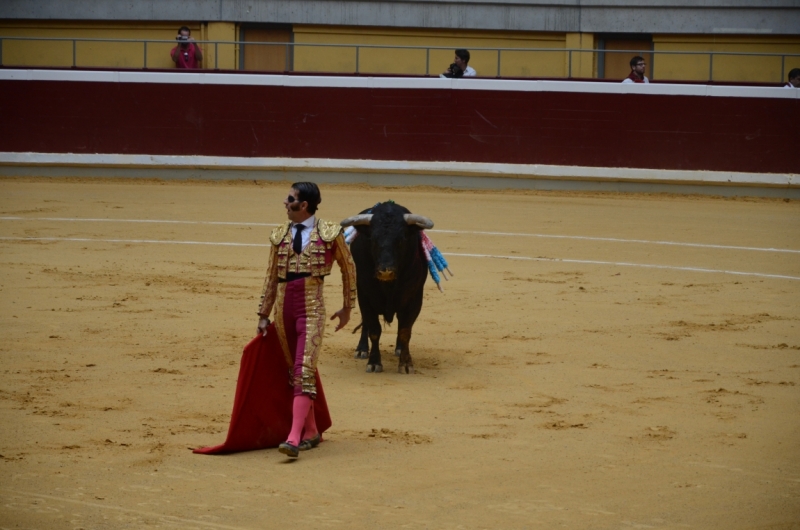 Коррида в Испании