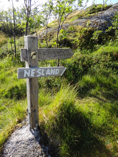 Explore islands of Nordland. Лофотены и Вестеролен. Август 2014.