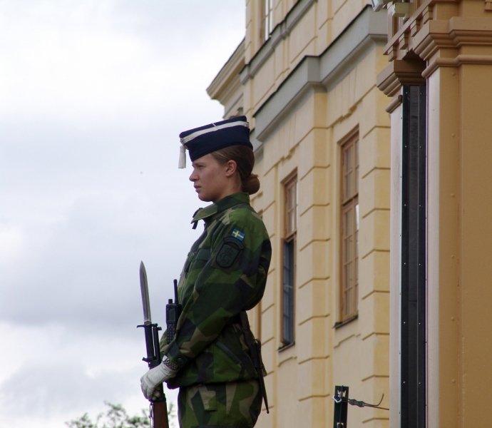 Автопробегом из Воронежа по СТРАНЕ ТРОЛЛЕЙ (через Москву,Новгород, Хельсинки, Стокгольм)