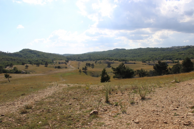 Две недели на ЮБК конец июля - начало августа 2014 или (Ялта - город счастья)