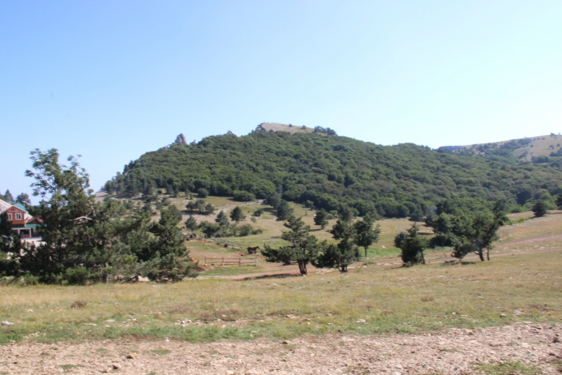 Две недели на ЮБК конец июля - начало августа 2014 или (Ялта - город счастья)