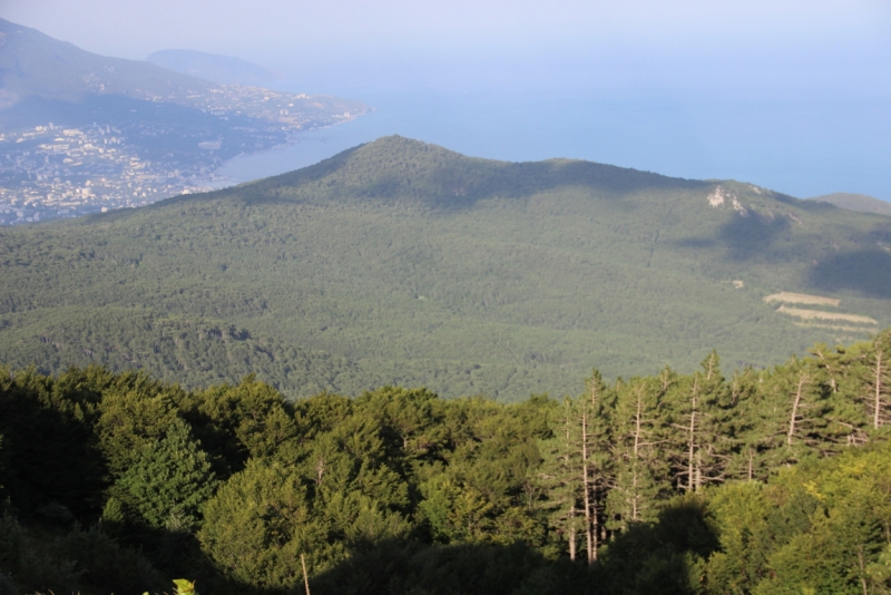 Две недели на ЮБК конец июля - начало августа 2014 или (Ялта - город счастья)