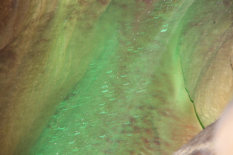 Две недели на ЮБК конец июля - начало августа 2014 или (Ялта - город счастья)