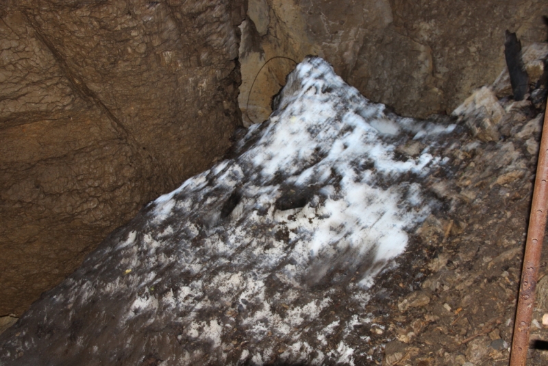 Две недели на ЮБК конец июля - начало августа 2014 или (Ялта - город счастья)