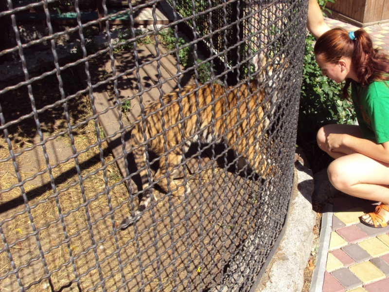 Две недели на ЮБК конец июля - начало августа 2014 или (Ялта - город счастья)