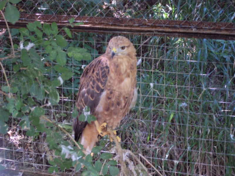 Две недели на ЮБК конец июля - начало августа 2014 или (Ялта - город счастья)