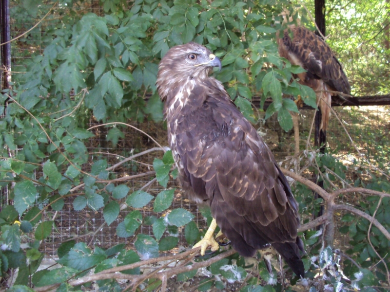 Две недели на ЮБК конец июля - начало августа 2014 или (Ялта - город счастья)