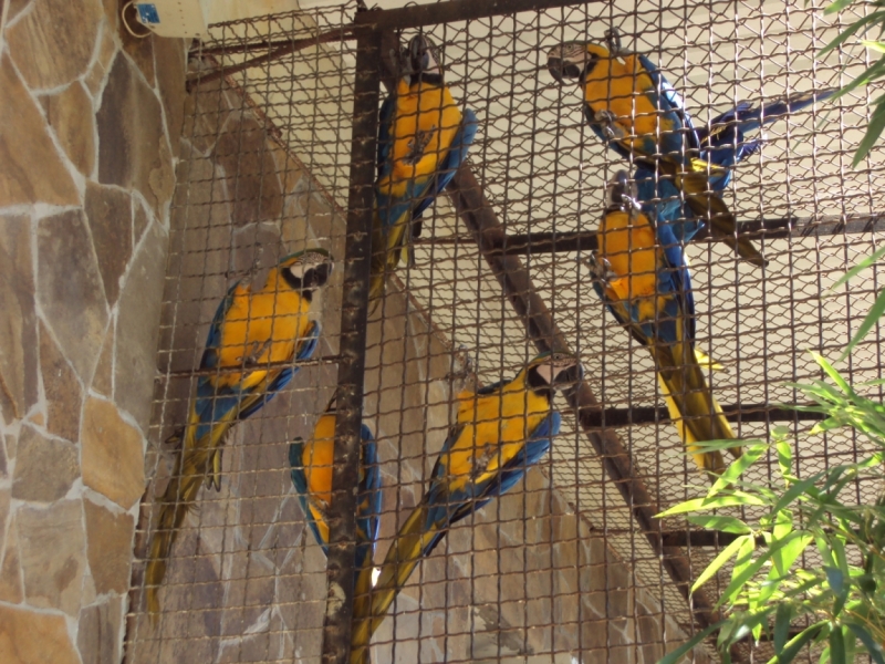 Две недели на ЮБК конец июля - начало августа 2014 или (Ялта - город счастья)