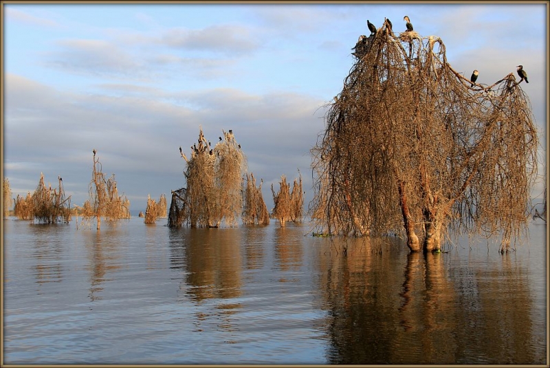 На лодке по озеру Найваша