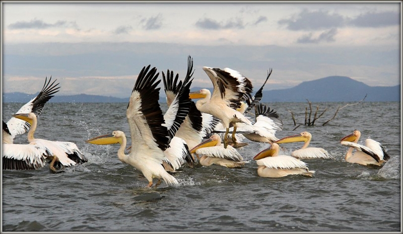 На лодке по озеру Найваша