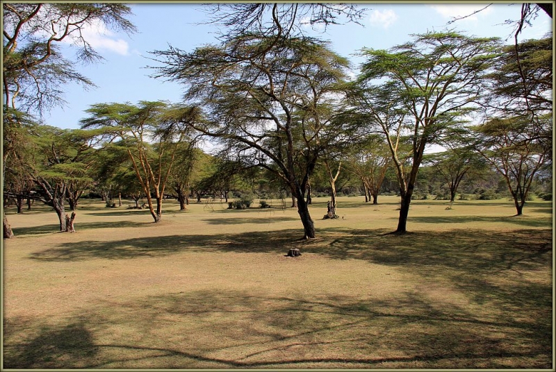 Lake Naivasha Sopa Resort