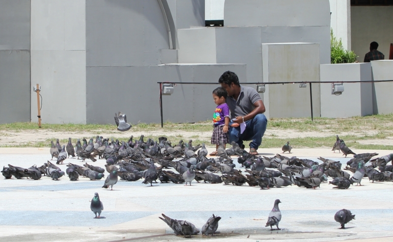 Medhupparu в сентябре 2014