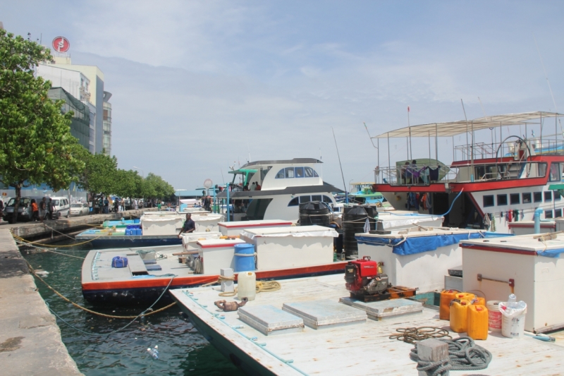 Medhupparu в сентябре 2014