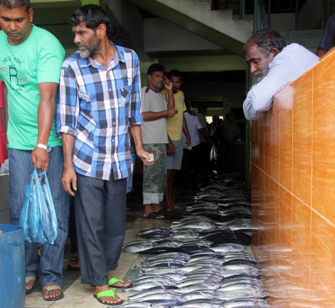 Medhupparu в сентябре 2014