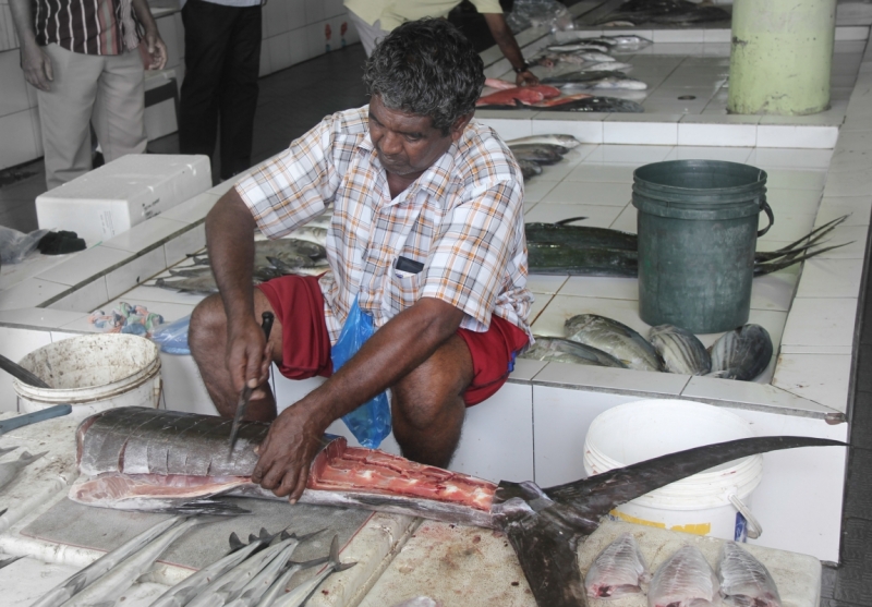 Medhupparu в сентябре 2014