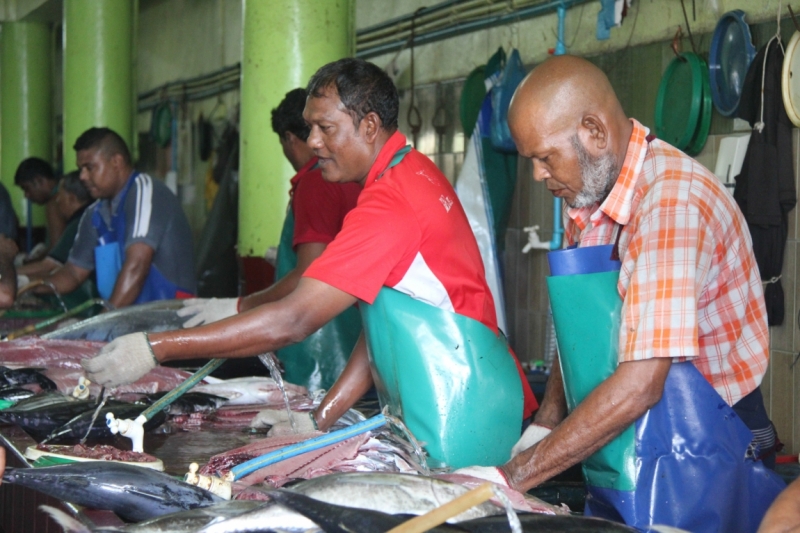 Medhupparu в сентябре 2014